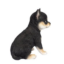 Load image into Gallery viewer, SoReal - Chihuahua
