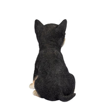 Load image into Gallery viewer, SoReal - Chihuahua
