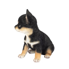 Load image into Gallery viewer, SoReal - Chihuahua
