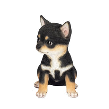 Load image into Gallery viewer, SoReal - Chihuahua
