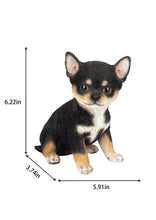Load image into Gallery viewer, SoReal - Chihuahua
