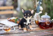 Load image into Gallery viewer, SoReal - Chihuahua
