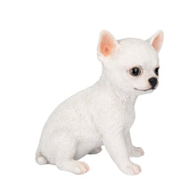 Load image into Gallery viewer, SoReal -  Chihuahua
