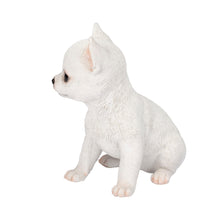 Load image into Gallery viewer, SoReal -  Chihuahua
