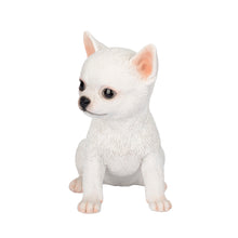 Load image into Gallery viewer, SoReal -  Chihuahua
