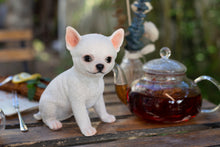 Load image into Gallery viewer, SoReal -  Chihuahua
