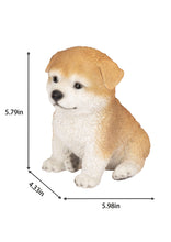 Load image into Gallery viewer, SoReal - Akita
