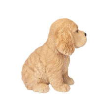 Load image into Gallery viewer, SoReal - Cocker Spaniel

