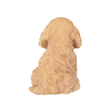 Load image into Gallery viewer, SoReal - Cocker Spaniel
