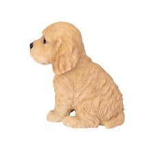 Load image into Gallery viewer, SoReal - Cocker Spaniel
