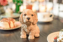 Load image into Gallery viewer, SoReal - Cocker Spaniel
