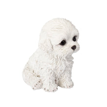 Load image into Gallery viewer, SoReal - Labradoodle
