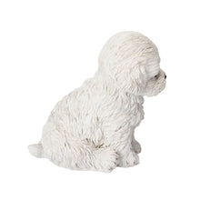 Load image into Gallery viewer, SoReal - Labradoodle
