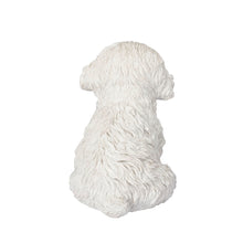 Load image into Gallery viewer, SoReal - Labradoodle
