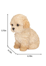 Load image into Gallery viewer, SoReal - Labradoodle
