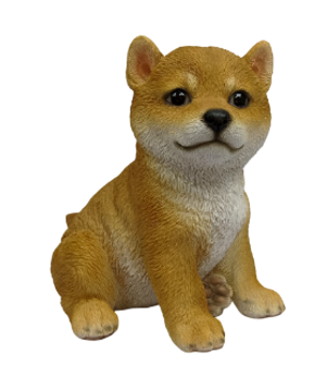 SoReal - Shiba