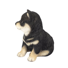 Load image into Gallery viewer, SoReal - Shiba
