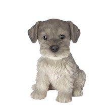Load image into Gallery viewer, SoReal - Schnauzer
