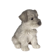 Load image into Gallery viewer, SoReal - Schnauzer
