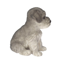 Load image into Gallery viewer, SoReal - Schnauzer
