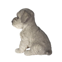 Load image into Gallery viewer, SoReal - Schnauzer
