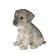 Load image into Gallery viewer, SoReal - Schnauzer
