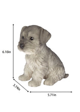 Load image into Gallery viewer, SoReal - Schnauzer
