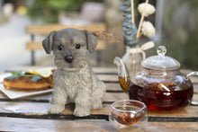 Load image into Gallery viewer, SoReal - Schnauzer
