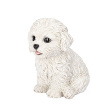 Load image into Gallery viewer, SoReal - Bichon Frise

