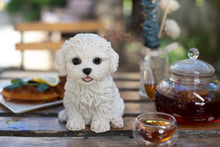 Load image into Gallery viewer, SoReal - Bichon Frise
