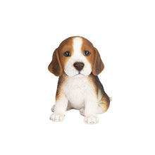 Load image into Gallery viewer, SoReal - Beagle
