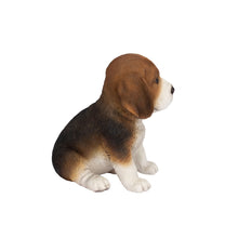 Load image into Gallery viewer, SoReal - Beagle

