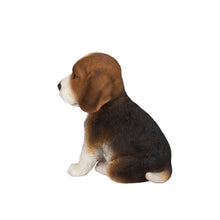 Load image into Gallery viewer, SoReal - Beagle
