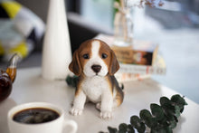 Load image into Gallery viewer, SoReal - Beagle
