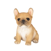Load image into Gallery viewer, SoReal - French Bulldog
