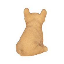 Load image into Gallery viewer, SoReal - French Bulldog
