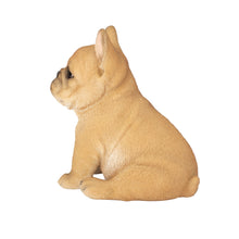 Load image into Gallery viewer, SoReal - French Bulldog
