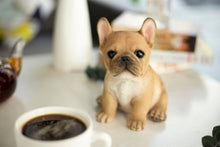 Load image into Gallery viewer, SoReal - French Bulldog
