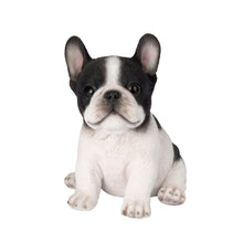 Load image into Gallery viewer, SoReal - French Bulldog
