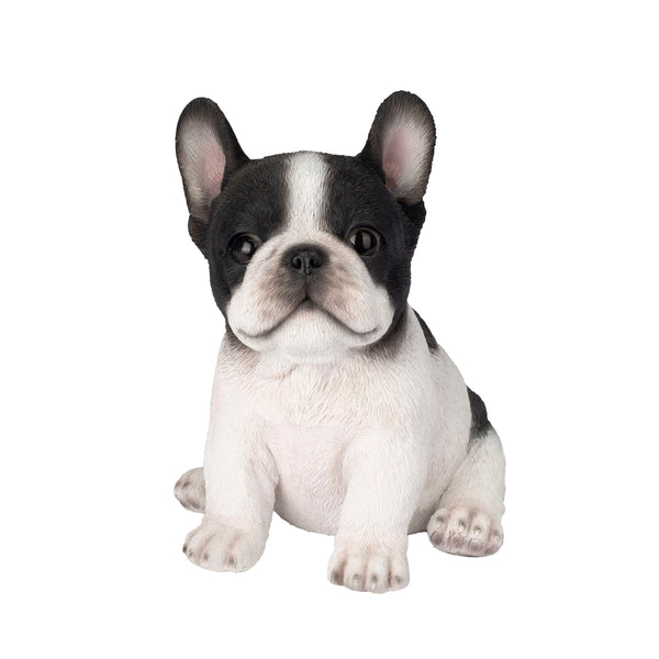 SoReal - French Bulldog