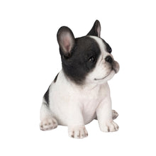 Load image into Gallery viewer, SoReal - French Bulldog
