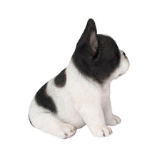 Load image into Gallery viewer, SoReal - French Bulldog

