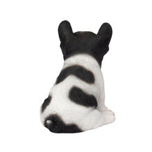 Load image into Gallery viewer, SoReal - French Bulldog

