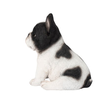 Load image into Gallery viewer, SoReal - French Bulldog
