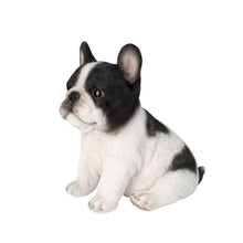 Load image into Gallery viewer, SoReal - French Bulldog
