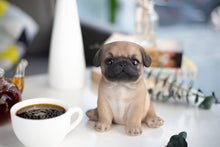 Load image into Gallery viewer, SoReal - Pug
