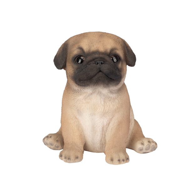 SoReal - Pug
