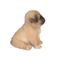 Load image into Gallery viewer, SoReal - Pug
