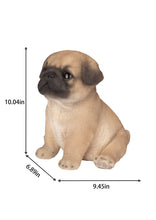 Load image into Gallery viewer, SoReal - Pug
