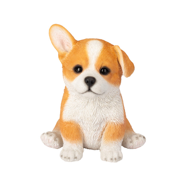 SoReal - Corgi